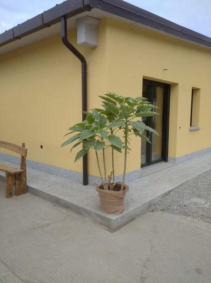 Azienda Agrituristica Scotti Сомма-Ломбардо Экстерьер фото